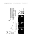 Polypeptides involved in neuronal regeneration-associated gene expression diagram and image