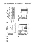 Polypeptides involved in neuronal regeneration-associated gene expression diagram and image