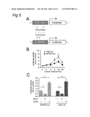 Polypeptides involved in neuronal regeneration-associated gene expression diagram and image