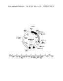 THERAPY-ENHANCING GLUCAN diagram and image