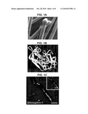 Use of Silintaphin for the Structure-Directed Fabrication of (Nano)Composite Materials in Medicine and (Nano)Technology diagram and image