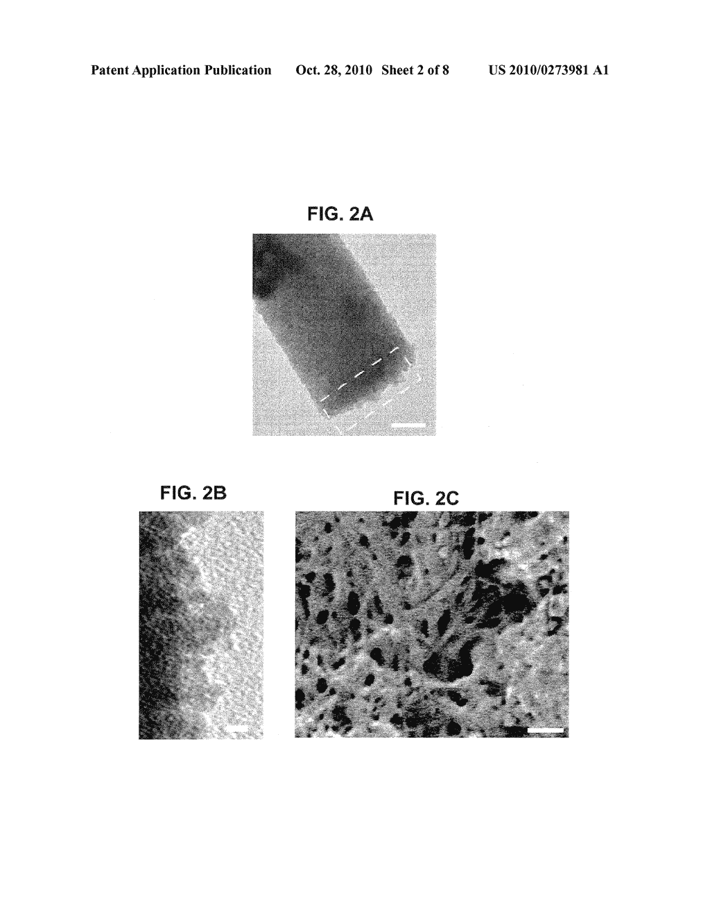 Use of Silintaphin for the Structure-Directed Fabrication of (Nano)Composite Materials in Medicine and (Nano)Technology - diagram, schematic, and image 03