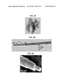 Use of Silintaphin for the Structure-Directed Fabrication of (Nano)Composite Materials in Medicine and (Nano)Technology diagram and image