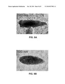 Use of Silintaphin for the Structure-Directed Fabrication of (Nano)Composite Materials in Medicine and (Nano)Technology diagram and image