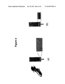 METHOD FOR ENRICHING PHOSPHOPEPTIDES diagram and image