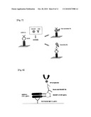 ANTI-CANCER AGENT COMPRISING ANTI-HB-EGF ANTIBODY AS ACTIVE INGREDIENT diagram and image