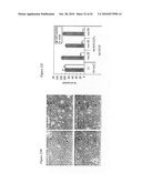 Notch-based fusion proteins and uses thereof diagram and image