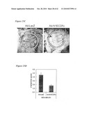 Notch-based fusion proteins and uses thereof diagram and image