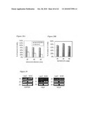 Notch-based fusion proteins and uses thereof diagram and image