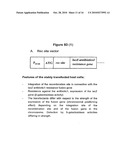 METHOD FOR THE PRODUCTION OF AN IMMUNOSTIMULATING MUCIN (MUC1) diagram and image