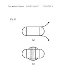 HUMAN BODY COMMUNICATION SYSTEM AND METHOD diagram and image