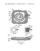 WOUND CLEANSING APPARATUS WITH SCAFFOLD diagram and image