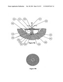 WOUND CLEANSING APPARATUS WITH SCAFFOLD diagram and image