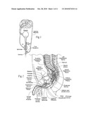 SYSTEMS AND METHODS FOR THE TREATMENT OF BLADDER DYSFUNCTIONS USING NEUROMODULATION diagram and image