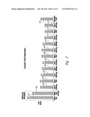 SELECTIVE HIGH FREQUENCY SPINAL CORD MODULATION FOR INHIBITING PAIN WITH REDUCED SIDE EFFECTS, AND ASSOCIATED SYSTEMS AND METHODS diagram and image