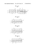 Solar Cell Module and Process for its Production diagram and image