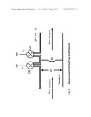 SHIELDING GAS FLOW CONTROLLER FOR A WELDING APPARATUS diagram and image