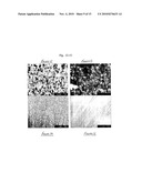 ENHANCEMENT OF THE STRUCTURE AND PROPERTIES OF CARBON NANOTUBE FIBRES AND FILMS diagram and image