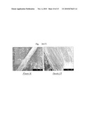 ENHANCEMENT OF THE STRUCTURE AND PROPERTIES OF CARBON NANOTUBE FIBRES AND FILMS diagram and image