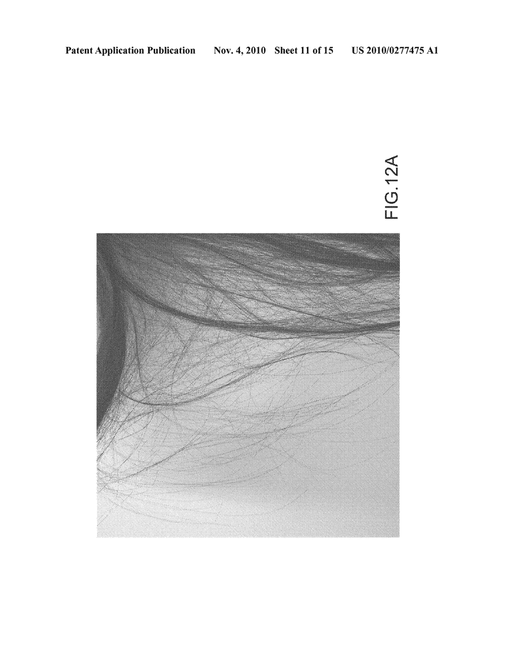 COMPUTER GRAPHIC SYSTEM AND METHOD FOR SIMULATING HAIR - diagram, schematic, and image 12