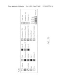 NOZZLE ARRANGEMENT FOR INKJET PRINTER WITH INK WICKING REDUCTION diagram and image