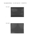 Liquid Crystal Panel and Liquid Crystal Display Apparatus diagram and image