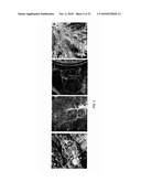 Predicate Logic based Image Grammars for Complex Visual Pattern Recognition diagram and image