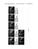 Predicate Logic based Image Grammars for Complex Visual Pattern Recognition diagram and image