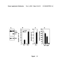 Novel compositions including sphingosine kinase type 1 inhibitors, and processes for using same diagram and image