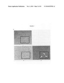 DIFFERENTIATION OF RAT LIVER EPITHELIAL CELLS INTO HEPATOCYTE-LIKE CELLS diagram and image