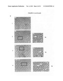 DIFFERENTIATION OF RAT LIVER EPITHELIAL CELLS INTO HEPATOCYTE-LIKE CELLS diagram and image