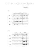 DIFFERENTIATION OF RAT LIVER EPITHELIAL CELLS INTO HEPATOCYTE-LIKE CELLS diagram and image