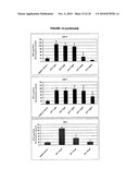 DIFFERENTIATION OF RAT LIVER EPITHELIAL CELLS INTO HEPATOCYTE-LIKE CELLS diagram and image