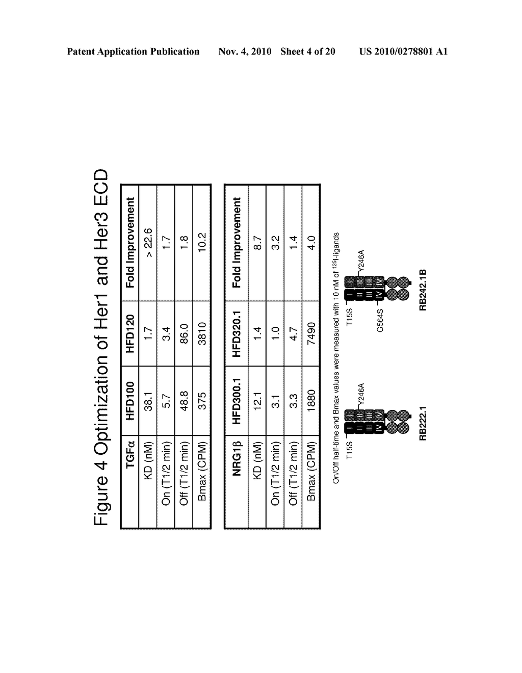 COMPOSITIONS COMPRISING OPTIMIZED HER1 AND HER3 MULTIMERS AND METHODS OF USE THEREOF - diagram, schematic, and image 05