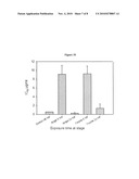 Novel antimicrobial agents diagram and image