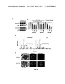 POLYPEPTIDES WITH ENHANCED ANTI-INFLAMMATORY AND DECREASED CYTOTOXIC PROPERTIES AND RELATING METHODS diagram and image
