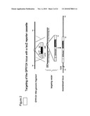 Methods of Modulating Angiogenesis diagram and image