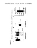 Methods of Modulating Angiogenesis diagram and image