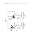 Methods of Modulating Angiogenesis diagram and image