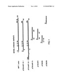 Methods of treating and preventing RSV, hMPV, and PIV using anti-RSV, anti-hMPV, and anti-PIV antibodies diagram and image