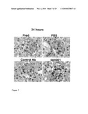 COMPOUNDS AND METHODS FOR THE TREATMENT OF RENAL DISEASE diagram and image