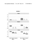 ANTIBODIES AGAINST H5N1 STRAINS OF INFLUENZA A VIRUS diagram and image