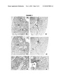 ANTIBODIES AGAINST H5N1 STRAINS OF INFLUENZA A VIRUS diagram and image