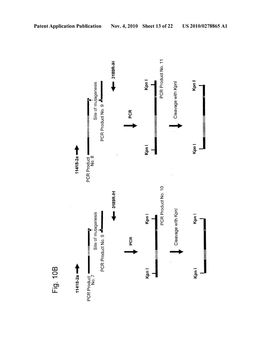 PRODUCTION AND USE OF EPITOPE-TAGGED HEPATITIS C VIRUS PARTICLE - diagram, schematic, and image 14