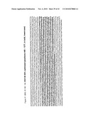 Codon-Optimized Dna Molecules Encoding the Receptor Binding Domains of Clostridium Difficile Toxins A and B, and Methods of Use Thereof diagram and image