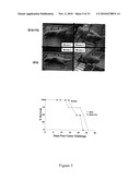 REAGENTS AND METHODS FOR CANCER TREATMENT AND PREVENTION diagram and image