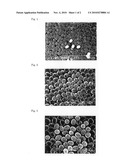 Skin cosmetics comprising cocoon-shaped polymer fine particles diagram and image