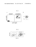 Dendritic cell targeting compositions and uses thereof diagram and image