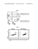 Dendritic cell targeting compositions and uses thereof diagram and image