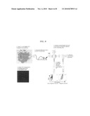 Dendritic cell targeting compositions and uses thereof diagram and image